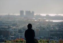 commercial analytics executive overview