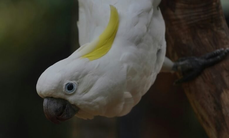 enterprise intelligence snapshot overview