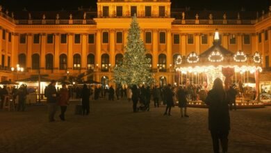 market intelligence architecture overview