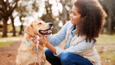 Building Better Outdoor Habits for Dogs and Their Owners